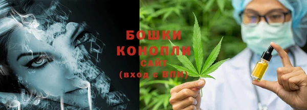 гидра Вязники