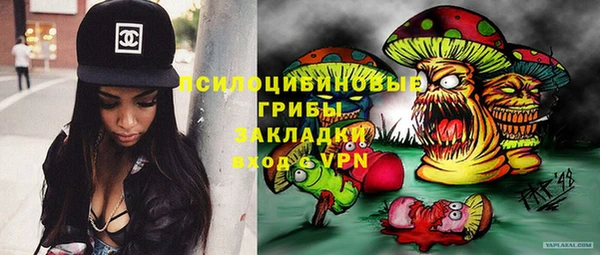 гидра Вязники
