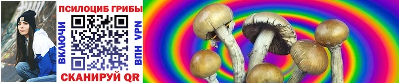 Купить  Усолье  Псилоцибиновые грибы Cubensis 